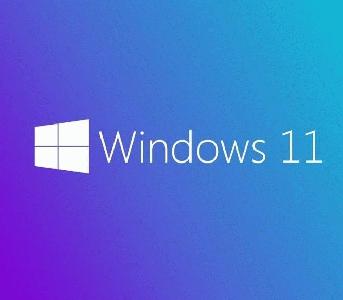 Windows 11 Pro Türkçe Oem (64 Bit) FQC-10556